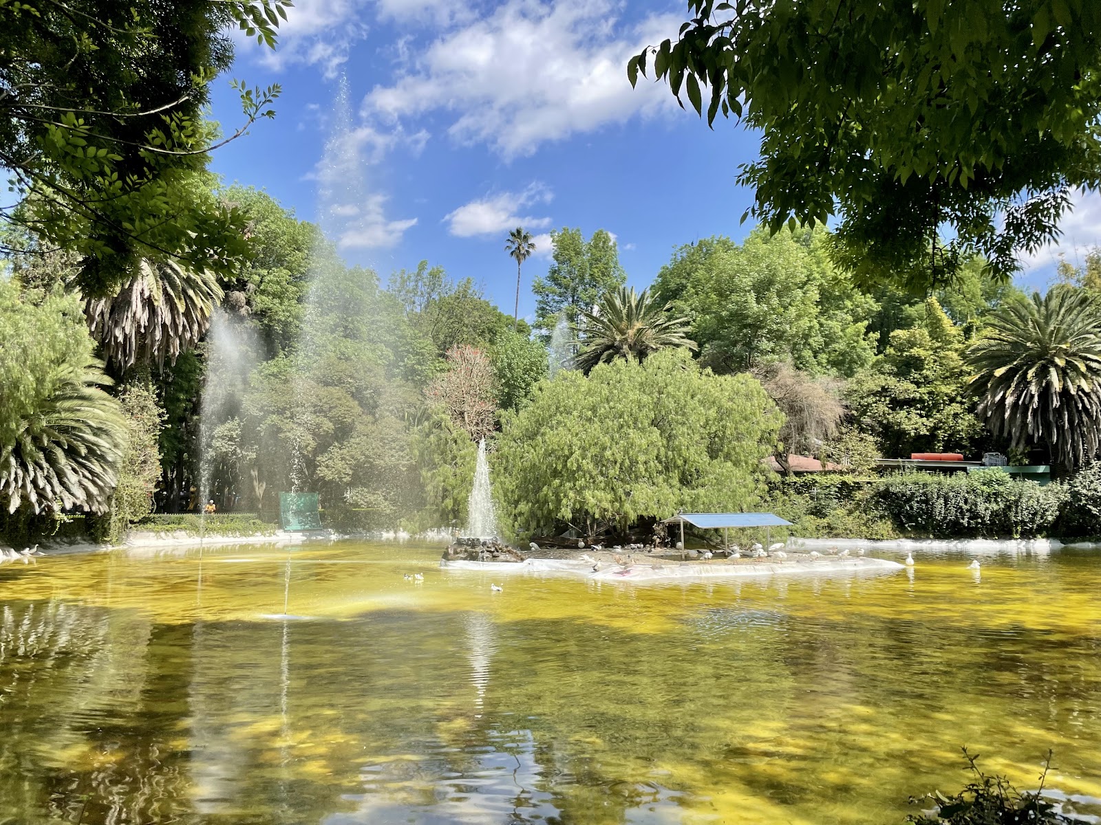 El parque que fue un hipódromo